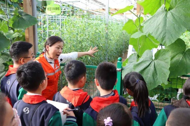 播种科学梦，亲苗向未来——东城小学蔬菜科技博览会研学纪实
