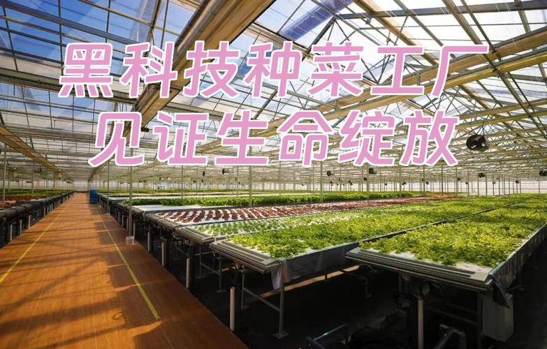 亲苗科技 以科技之力，守护成长每一步