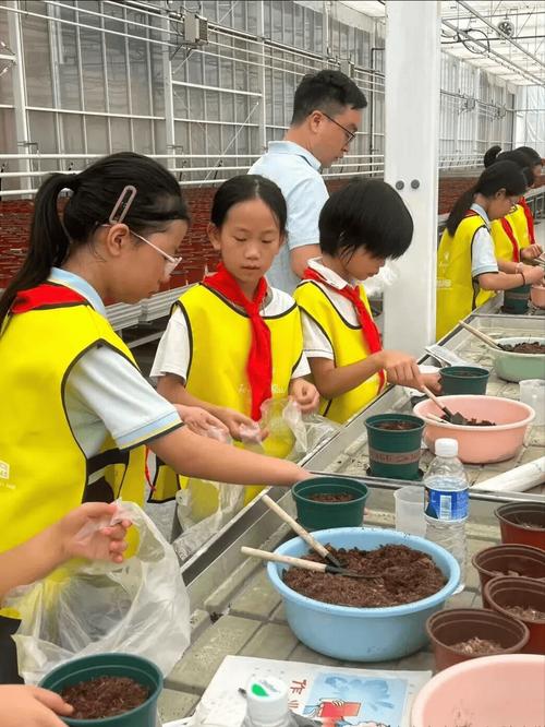 亲苗科技 在泥土中触摸农业的未来